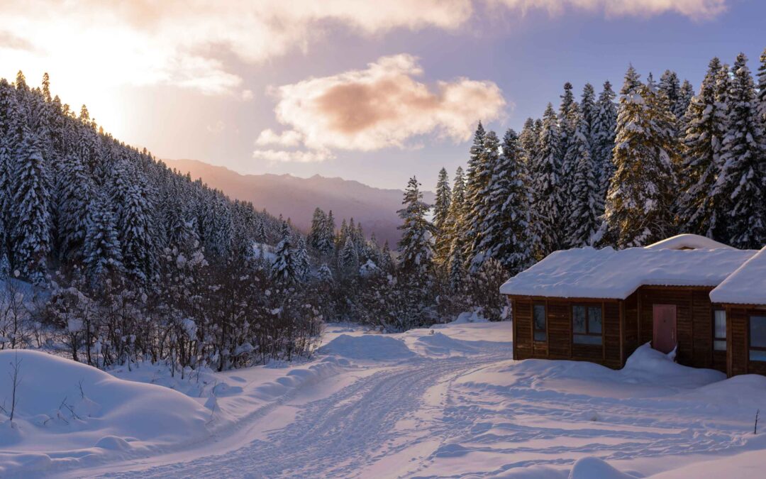 The Art of the Winter Escape