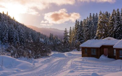 The Art of the Winter Escape